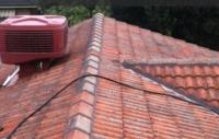 Enhanced Paint & Roof Restoration image 2